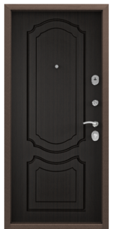 Дверь Torex Delta-M 10 Античная медь RGSO Венге D1