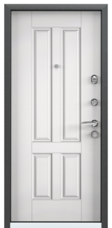Дверь Torex Super Omega-10 Черный шелк RP2 Белый RS7